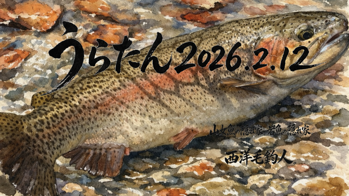 うらたん2026.2.12