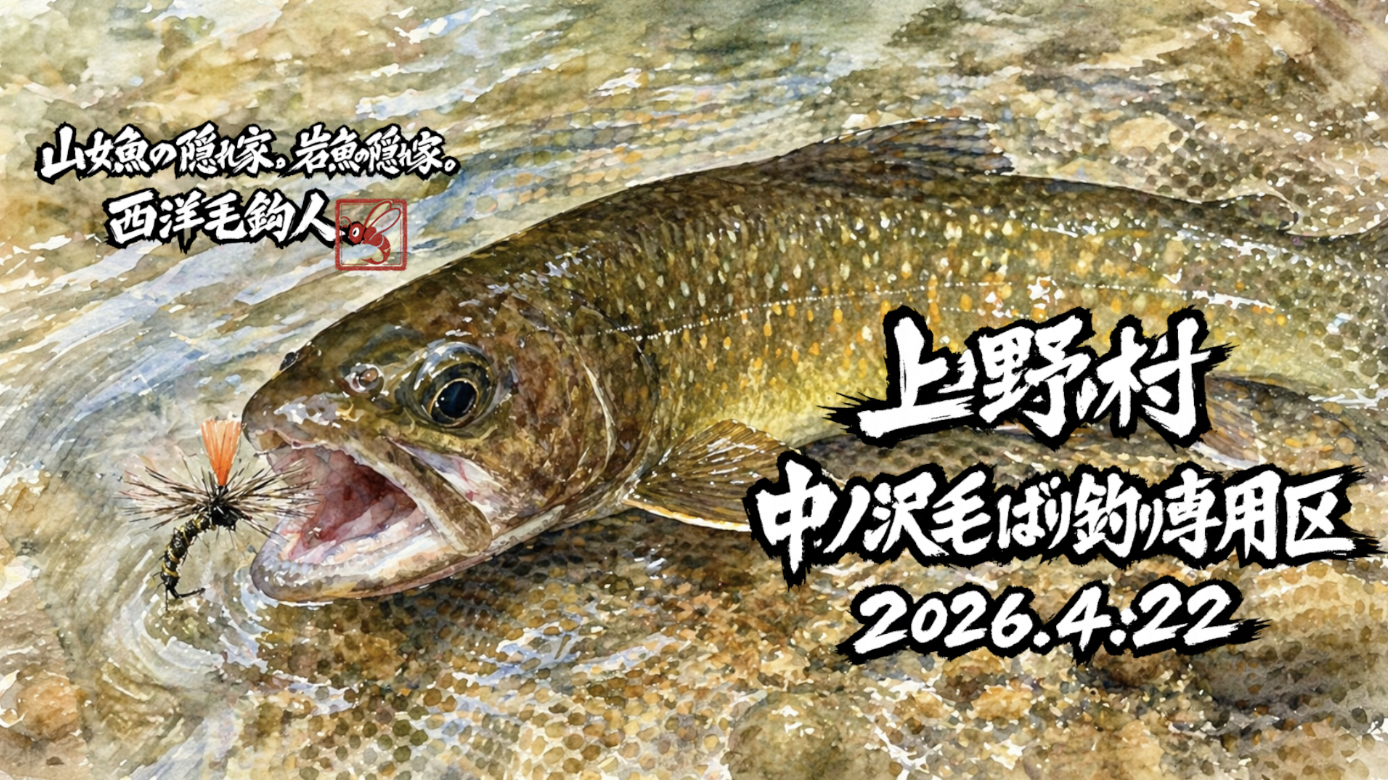 上野村釣行の第１弾は、やっぱり中ノ沢毛ばり釣り専用区！ってことで、1週間前にA区間を予約。堰堤上から釣り始めるが、反応が全くない。やっと駐車場直下で山女魚が釣れた。ここまで14番CDCを選択していたが、もう少しアピール性のあるもの10番キラキラパラシュートに変更。反応が格段に多くなるが、今度はスッポ抜けを連発。どうしたもんか・・・っと思っていたら、岩魚が釣れた。これで読めた！反応のほとんどは岩魚だ。ってことで、一呼吸溜めてからアワセを入れる。しかし、ここまで山女魚アワセ・・・なかなかアジャストできない。それでもなんとか3匹を追加。午後から仮管理棟付近から再入渓したが、こちらの方が反応が良かった。