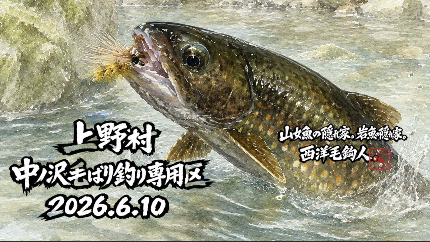増水で岩魚のポイントで山女魚が反応するという状況。岩魚狙いで釣り場を選択した西洋毛鉤人・・・岩魚はどこに潜んでいるか？っと悩みまくり（笑）。本流と繋がっている分流や水溜りを狙う。意外にも山女魚を釣った直後に同じポイントに毛鉤を放ると岩魚が反応してくれる・・・ことが多かった。残念にも西洋毛鉤人は山女魚アワセから一気に岩魚アワセにスイッチを入れ替える技量はなく、何度となく岩魚チャンスを見事に潰した。増水でニンフに逃げる釣りよりはずっと楽しい！