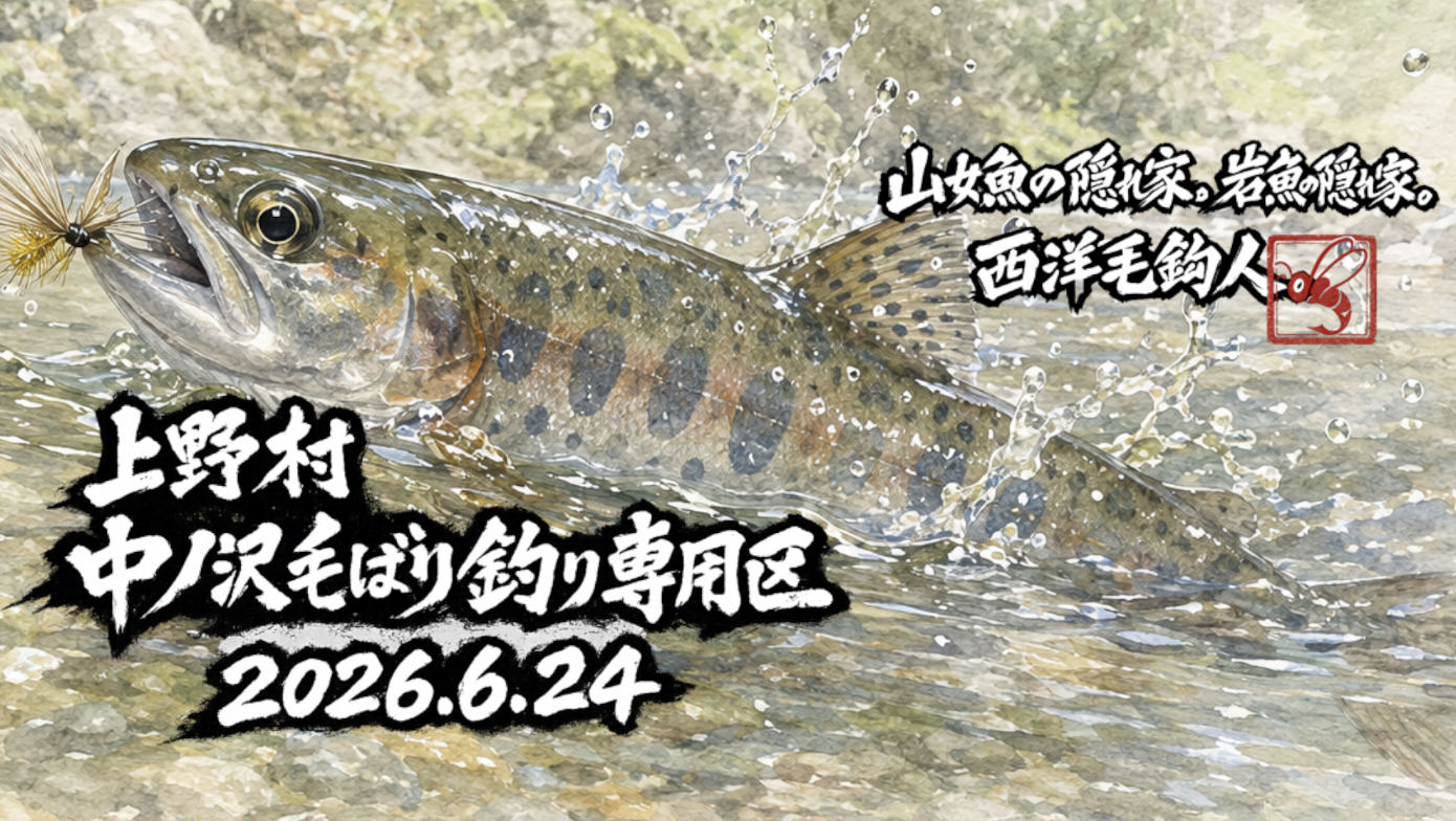 前回の2026.6.10釣行から今回の釣行までに水が出た感じだ。現在は減水しつつある？って状況。緩い流れの沈み石にはうっすらと土砂が・・・。これは岩魚は難しいかな？っと直感。おまけに大場所ほど浅くなっている感じ。厳しいとの予想だったが、入渓直後から反応が多い、しかし今年はA区間を集中的に釣っているせいか？フッキングが浅く・・・。それでも、ポンポンと5匹！意外と楽勝？なんて思ってたら、毛鉤ボックスをひっくり返し・・・７割の毛鉤は回収したものの、回収毛鉤はビッショリ・・・。予備の毛鉤ボックスと交換し、釣り上がる。が！これでリズムが狂ったのか？反応がなくなった。いつもなら駐車場直下からハイペースで釣れるのだが、沈黙。結局、駐車場直下から堰堤下までで3匹、日向沢で1匹。